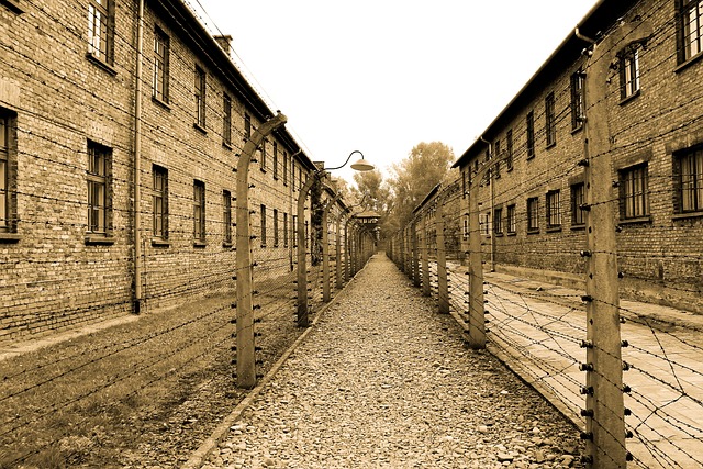 Dlaczego Tadek trafił do Auschwitz? Dlaczego Tadek trafił do Auschwitz?