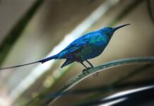 Jak wystawiac faktury w dropshipping? Jak wystawiac faktury w dropshipping?