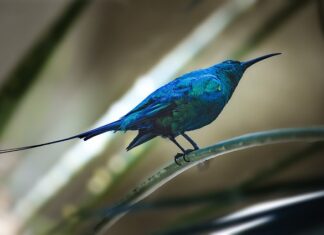 Jak wystawiac faktury w dropshipping?