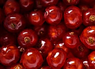 W którym dniu najlepiej nadpłacić kredyt?