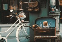 Jak założyć sklep na WordPress? Jak założyć sklep na WordPress?