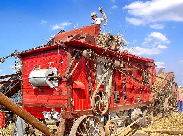 Do jakich zawodów nie trzeba mieć matury? Do jakich zawodów nie trzeba mieć matury?
