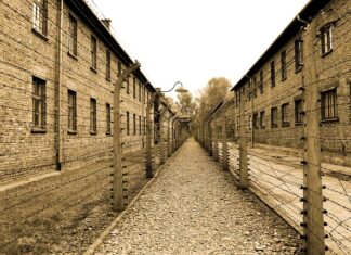 Ile kalorii jedli w Auschwitz?