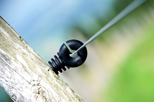 Ile Polaków zarabia 20 tys? Ile Polaków zarabia 20 tys?