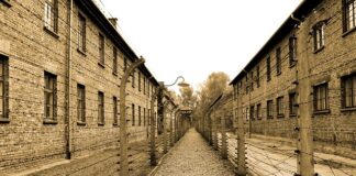 Co Niemcy mówią o Auschwitz? Co Niemcy mówią o Auschwitz?