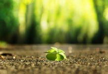 Jak zbudować własny biznes?