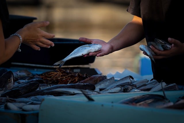 Gdzie sprzedawać bez działalności gospodarczej? Gdzie sprzedawać bez działalności gospodarczej?