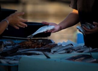 Czego nie można sprzedawać w internecie?